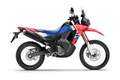 Honda CRF 300 Rally MJ2025 SOFORT VERFÜGBAR! Rouge - thumbnail 1