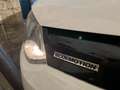 Volkswagen Polo Polo V 2011 5p 1.2 tdi bm 89g Bianco - thumbnail 2