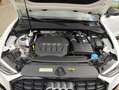 Audi Q3 40 TFSI quattro S line, Navi,AHK,Optik-Packet Blanc - thumbnail 14