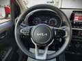 Kia Picanto Picanto 1.0 12V 5 porte Urban Pack Rosso - thumbnail 8