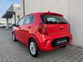 Kia Picanto Picanto 1.0 12V 5 porte Urban Pack Rosso - thumbnail 5