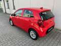 Kia Picanto Picanto 1.0 12V 5 porte Urban Pack Rosso - thumbnail 4