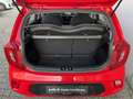 Kia Picanto Picanto 1.0 12V 5 porte Urban Pack Rosso - thumbnail 6