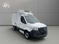 Mercedes-Benz Sprinter 317 Kühlkoffer Kiesling*Standkühlung*MBUX Blanco - thumbnail 6