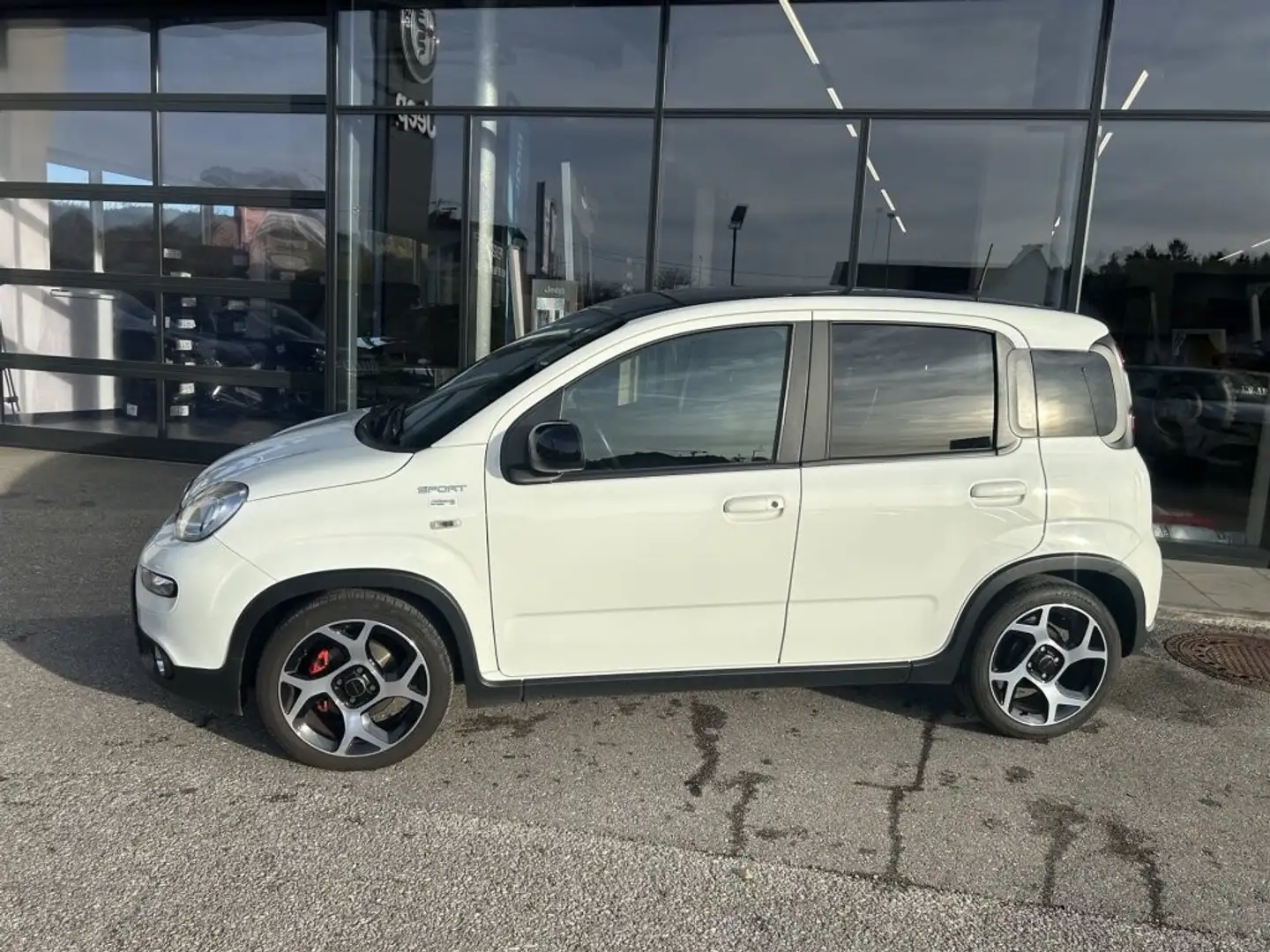 Fiat Panda 4x2 FireFly Hybrid 70 Sport Weiß - 2