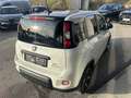 Fiat Panda 4x2 FireFly Hybrid 70 Sport Weiß - thumbnail 5