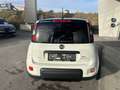 Fiat Panda 4x2 FireFly Hybrid 70 Sport Weiß - thumbnail 4