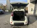 Fiat Panda 4x2 FireFly Hybrid 70 Sport Weiß - thumbnail 15