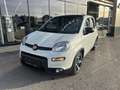 Fiat Panda 4x2 FireFly Hybrid 70 Sport Weiß - thumbnail 1
