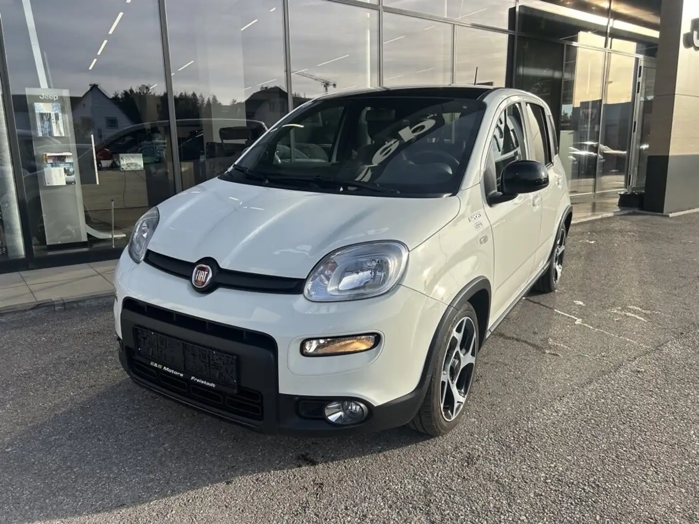 Fiat Panda 4x2 FireFly Hybrid 70 Sport Weiß - 1