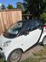 smart forTwo smart fortwo coupe softouchpure Weiß - thumbnail 2