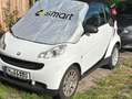 smart forTwo smart fortwo coupe softouchpure Weiß - thumbnail 11