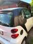 smart forTwo smart fortwo coupe softouchpure Weiß - thumbnail 4
