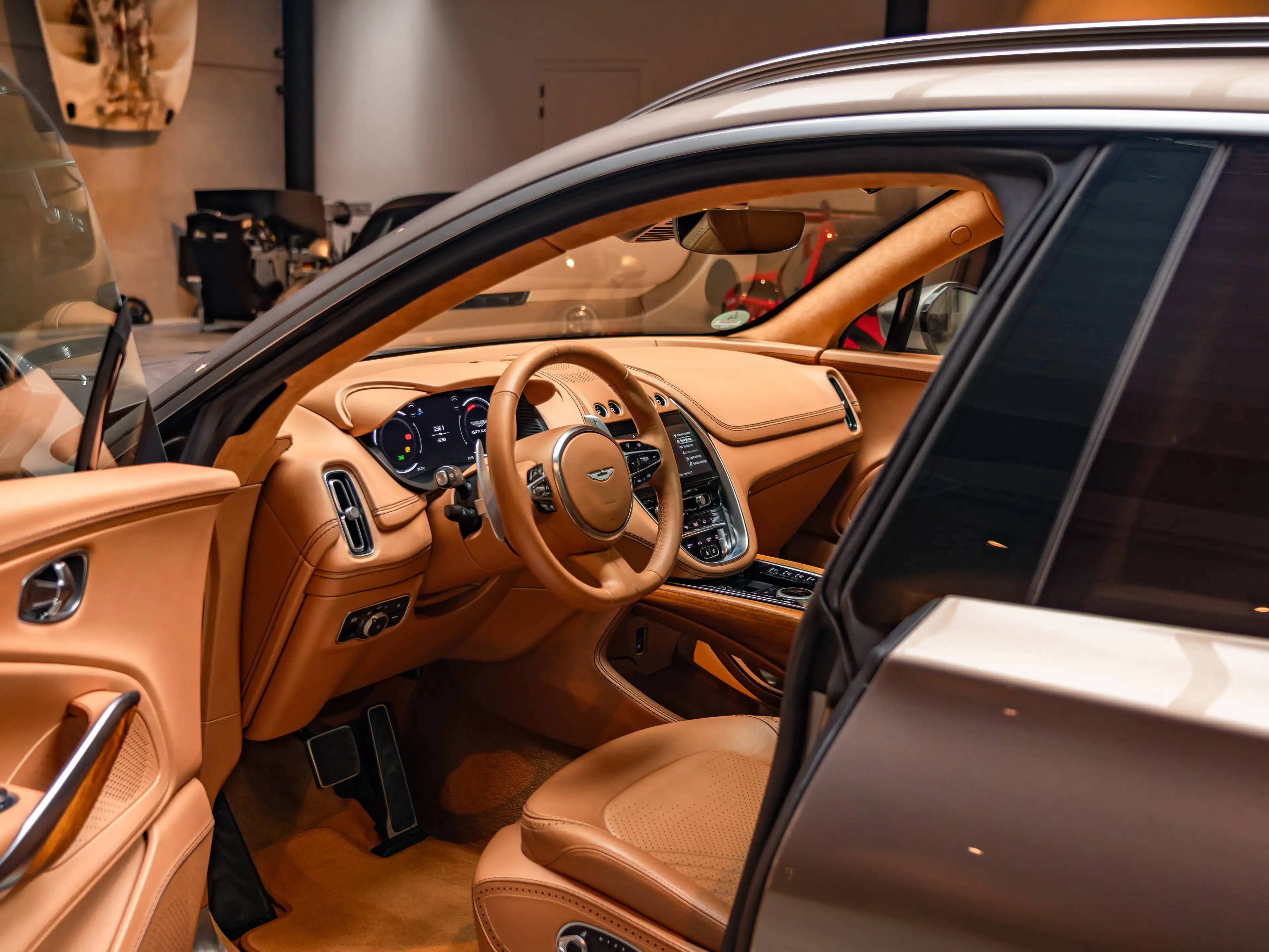 Aston Martin DBX DB Elegance Pack / Indulgence Pack — photo 13