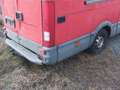 Iveco Daily Daily 35-8 CE Classic 3300" Rot - thumbnail 9