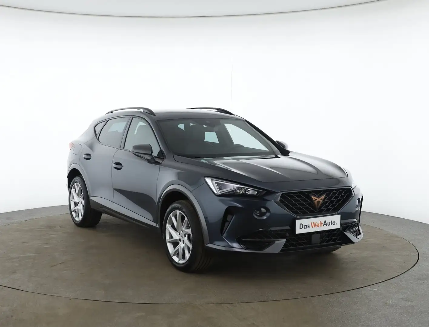 CUPRA Formentor 1,5 TSI ACT Cupra Grau - 2