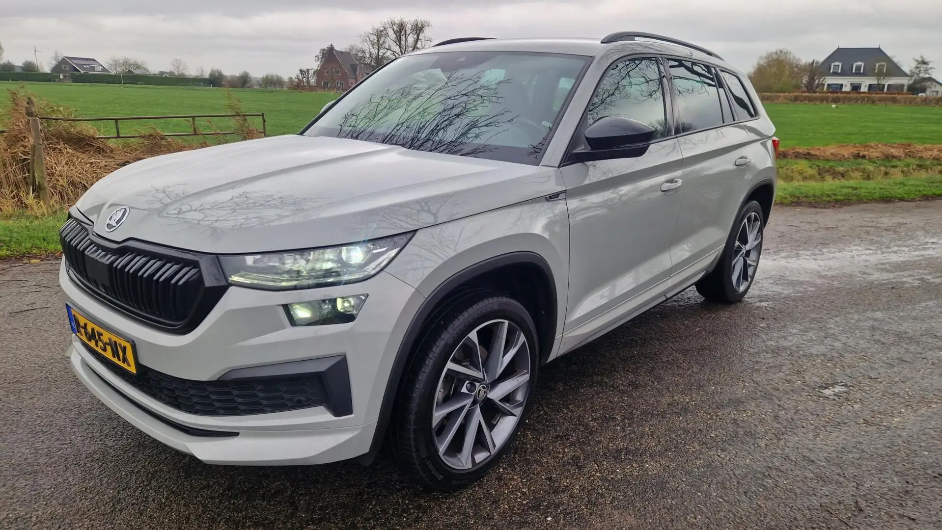 Skoda Kodiaq 1.5 TSI Sportline Business, trekhaak dealer onderh Grijs - 2
