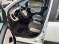 Fiat Panda 1.3 MJT 95 CV S&S 4x4 Bianco - thumbnail 10