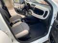 Fiat Panda 1.3 MJT 95 CV S&S 4x4 Bianco - thumbnail 13