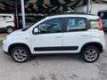 Fiat Panda 1.3 MJT 95 CV S&S 4x4 Bianco - thumbnail 4
