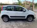 Fiat Panda 1.3 MJT 95 CV S&S 4x4 Bianco - thumbnail 8