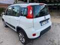 Fiat Panda 1.3 MJT 95 CV S&S 4x4 Bianco - thumbnail 5