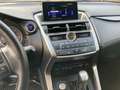 Lexus NX 300 300h 2.5 Executive 4wd cvt Bianco - thumbnail 5