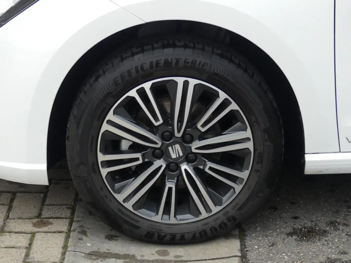 SEAT Ibiza Style Edition TSI DSG SHZ Full Link PDC Klima Blanc - 2