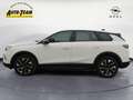 Opel Grandland 1.2 DI Hybrid 48 V Automatik Edition (K) Weiß - thumbnail 2