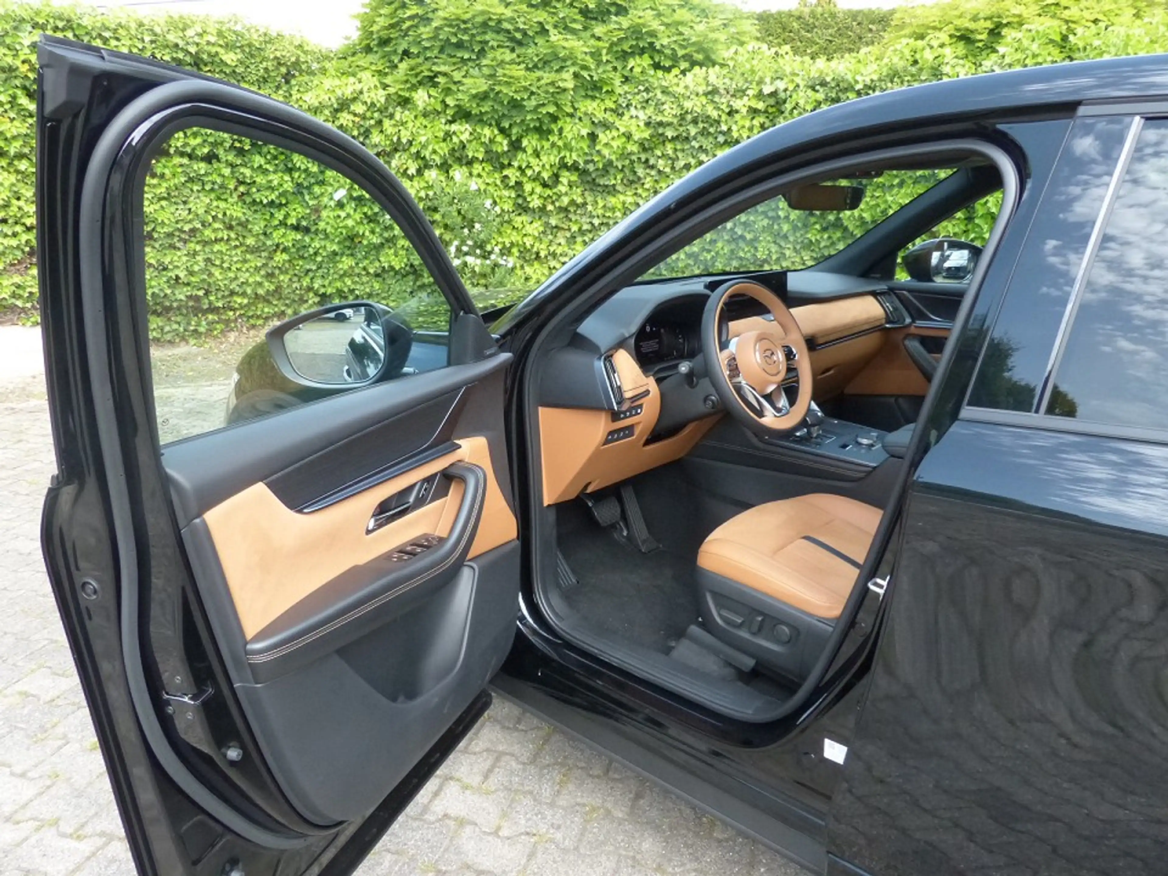 Mazda CX-60 2.5L e-SKYACTIV PHEV 327 PS Homura Plus — photo 10