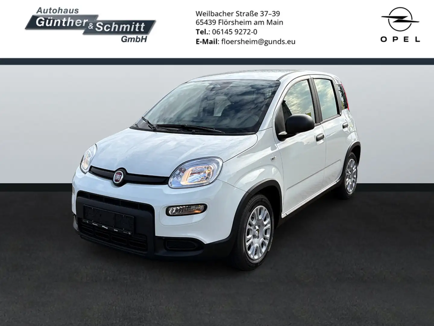 Fiat Panda 1.0 Pandina Blanc - 1