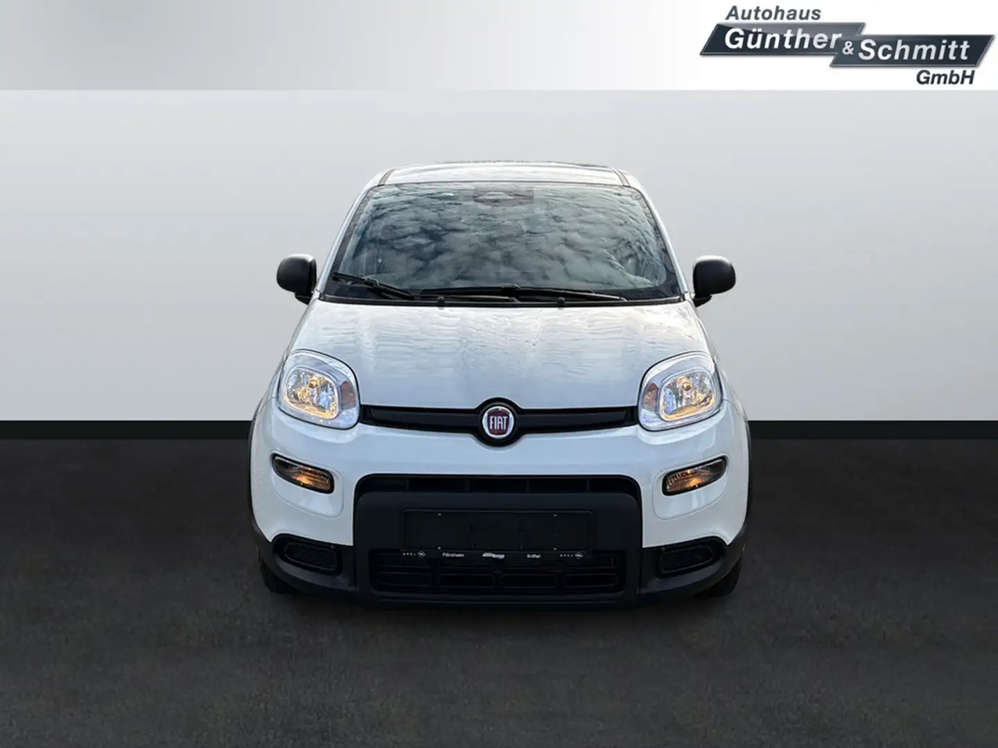 Fiat Panda 1.0 Pandina Blanc - 2