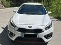 Kia Ceed / cee'd cee'd GT 1,6 TGDI GT Weiß - thumbnail 3