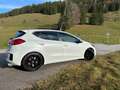 Kia Ceed / cee'd cee'd GT 1,6 TGDI GT Weiß - thumbnail 19