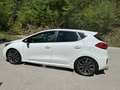 Kia Ceed / cee'd cee'd GT 1,6 TGDI GT Weiß - thumbnail 1