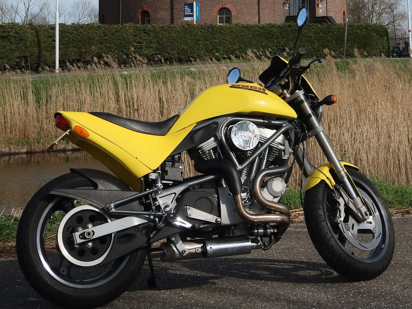 Buell S 1 Yellow - 1