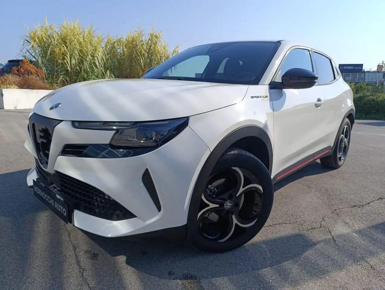 Alfa Romeo Junior 2025