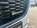 Jaguar XE XE D180 R-Dynamic S AWD LED+KAMERA+ACC+LEDER Blanco - thumbnail 19