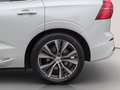 Volvo XC60 T6 Recharge Inscription *Luft*BLIS*AHK*HUD*SH*ACC* Weiß - thumbnail 8