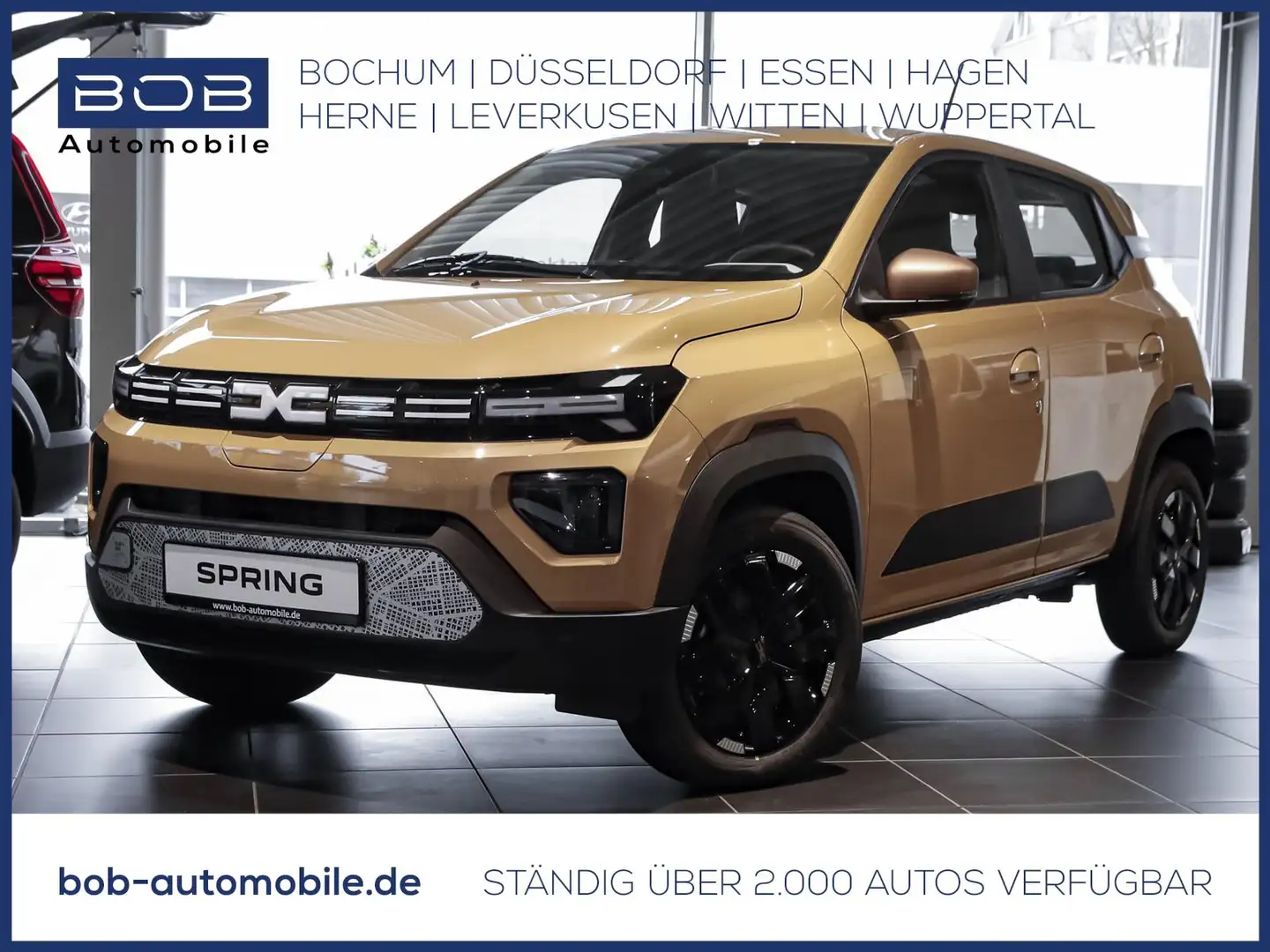 Dacia Spring FL24 Extreme ELECTRIC 65 8-fach bereift CCS Schuko Beige - 1