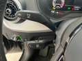 Audi Q2 30 TFSI S Line Edition *COLORI VARI, PROMO AZZURR Gris - thumbnail 18