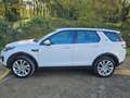 Land Rover Discovery Sport Discovery Sport I 2015 2.0 td4 Pure awd 150cv auto Wit - thumbnail 1