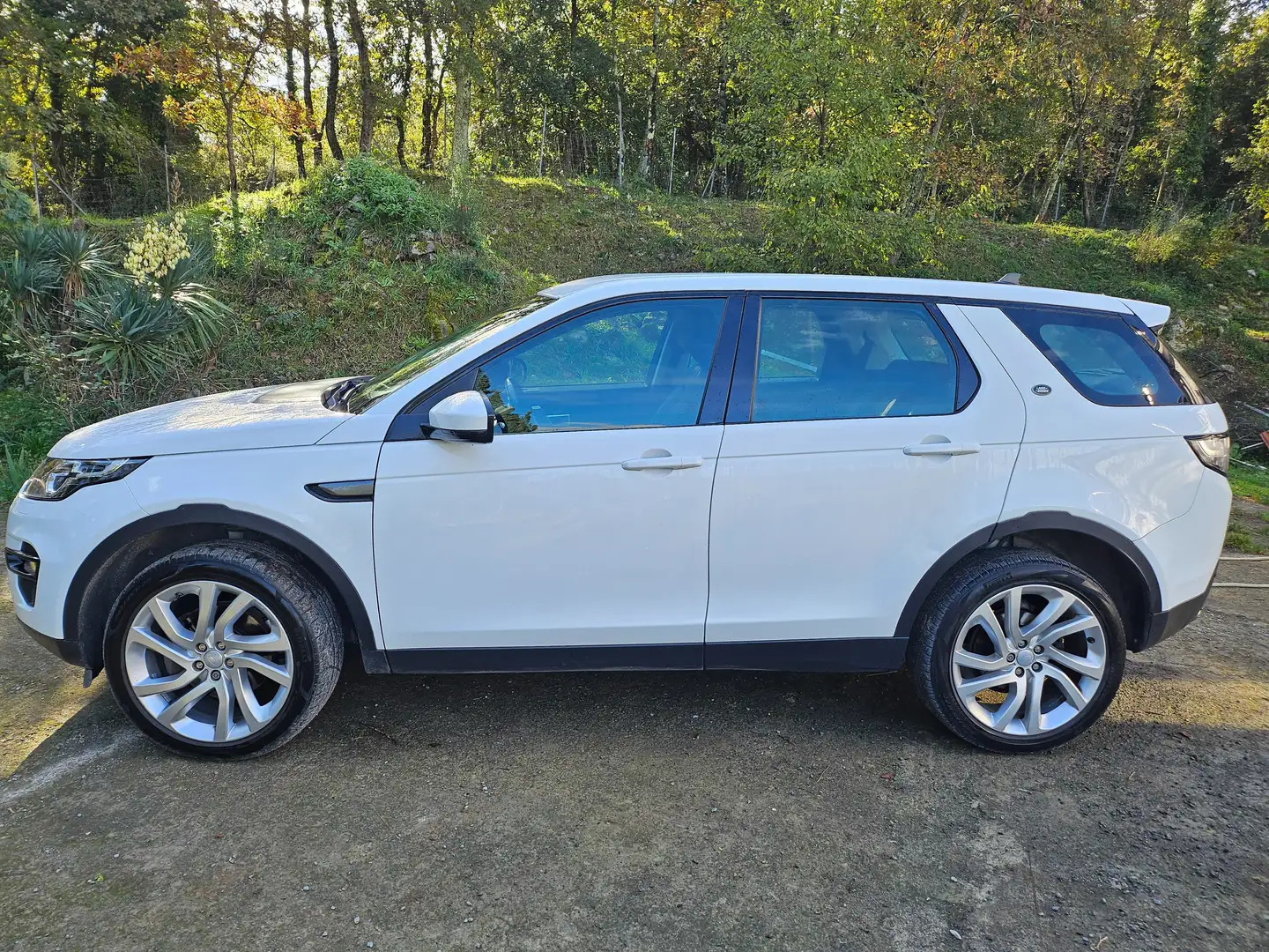 Land Rover Discovery Sport Discovery Sport I 2015 2.0 td4 Pure awd 150cv auto Wit - 1