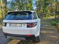 Land Rover Discovery Sport Discovery Sport I 2015 2.0 td4 Pure awd 150cv auto Wit - thumbnail 2