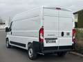 Fiat Ducato Ducato 35+ L3H2 BlueHDi 140 S&S EAT8 Weiß - thumbnail 6