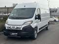 Fiat Ducato Ducato 35+ L3H2 BlueHDi 140 S&S EAT8 Weiß - thumbnail 1
