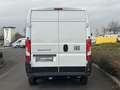 Fiat Ducato Ducato 35+ L3H2 BlueHDi 140 S&S EAT8 Weiß - thumbnail 7