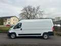 Fiat Ducato Ducato 35+ L3H2 BlueHDi 140 S&S EAT8 Weiß - thumbnail 3