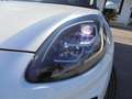 Ford Puma Puma II 2020 1.0 ecoboost h Titanium X s Bianco - thumbnail 5