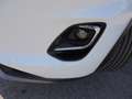 Ford Puma Puma II 2020 1.0 ecoboost h Titanium X s Bianco - thumbnail 4